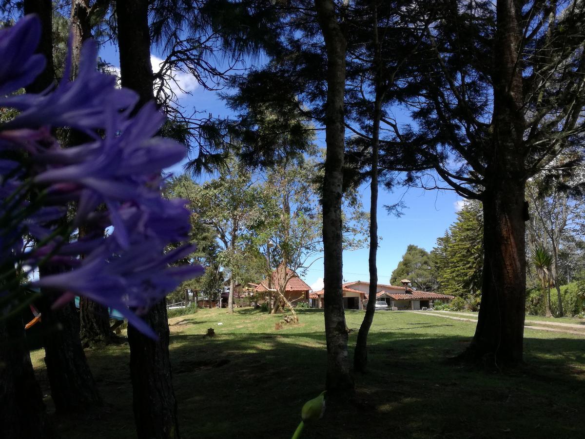 Al Bosque Hostel & Glamping Santa Elena  Luaran gambar