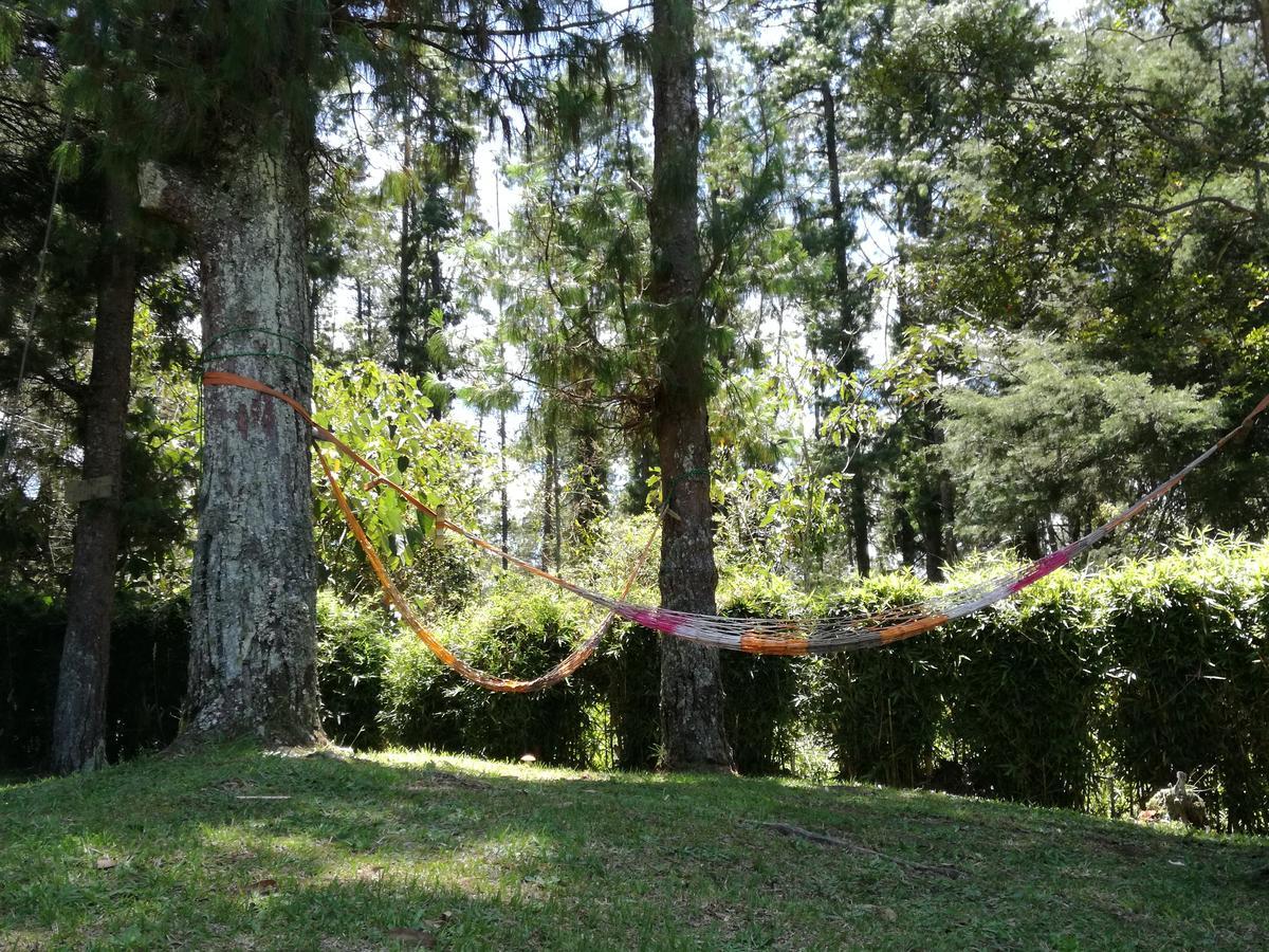 Al Bosque Hostel & Glamping Santa Elena  Luaran gambar