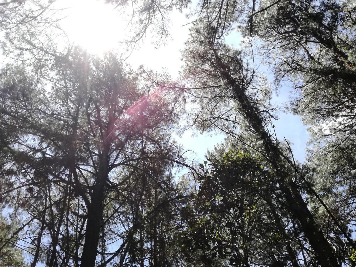 Al Bosque Hostel & Glamping Santa Elena  Luaran gambar