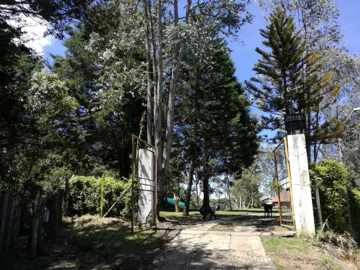 Al Bosque Hostel & Glamping Santa Elena  Luaran gambar