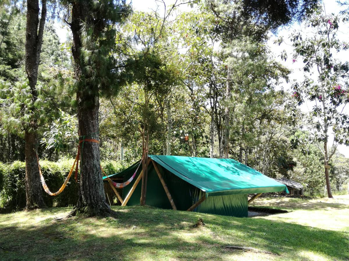 Al Bosque Hostel & Glamping Santa Elena  Luaran gambar