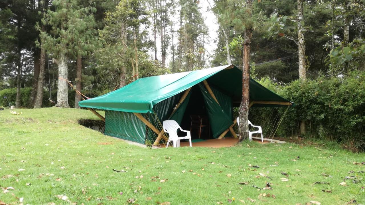 Al Bosque Hostel & Glamping Santa Elena  Luaran gambar